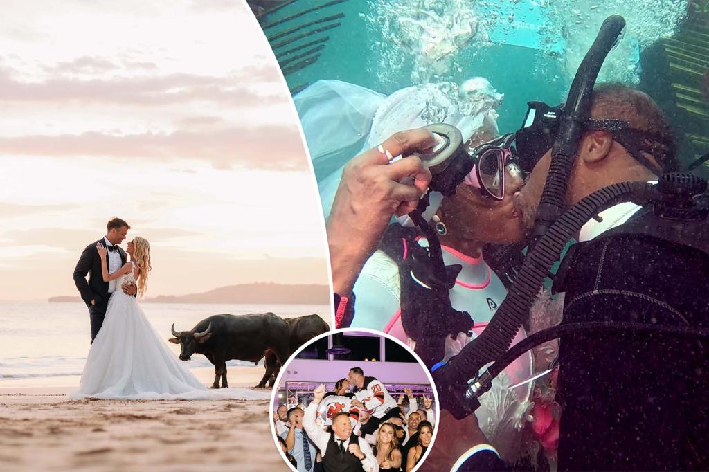 Diving and horse riding: This is what a wedding looks like when you are passionate about sports