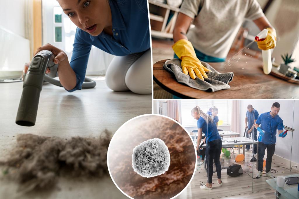 Too much 'PM2.5' can cause coughing, bronchitis and even cancer - how to remove it from your home